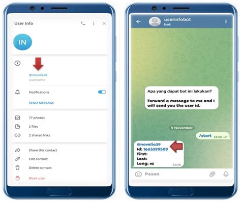 Cara Melihat Id Telegram Orang Lain Yang Disembunyikan