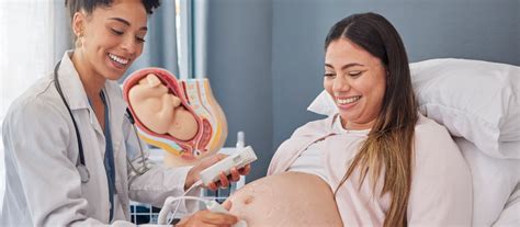 Como Funciona A Sexagem Fetal - Metodologia do Exame de Sexagem Fetal- Entenda. - SP Labor