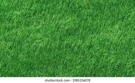 613 Grassfield Texture Images, Stock Photos & Vectors | Shutterstock