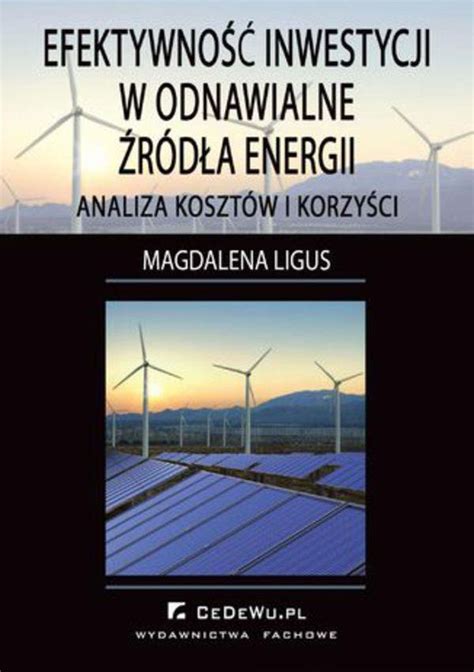 Efektywność inwestycji w odnawialne źródła energii analiza kosztów i