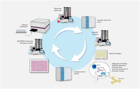 Top Instrument Considerations For An Mtt Assay Drug Discovery News