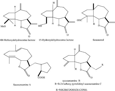 Chemical Constituents Of Saussurea Lappa Download Scientific Diagram