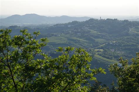 Collio vineyards, local white wines, cuisine and traditions