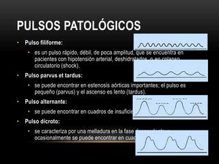 Pulso Rápido E Fraco É Característica De - Pulso | PPTX
