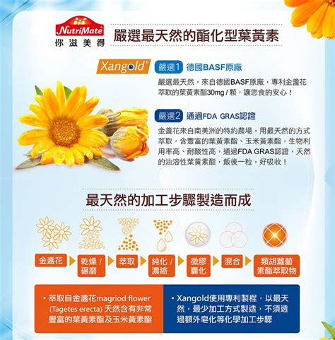 Nutrimate 你滋美得 愛明晶萃配方 30顆 瓶 X2盒 Pchome 24h購物