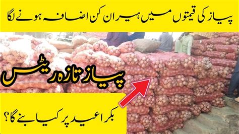 Pyaz K Hiran Kun Rate L New Onion Price In Pakistan L Bakra Eid 2023 L