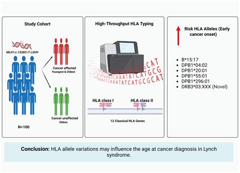 Human Leukocyte Antigen Allelic Variations May Influence The Age At