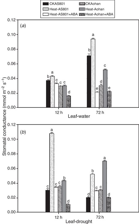 Stomatal Conductance Of Two Lucerne Genotypes Heat Tolerant Ameristand