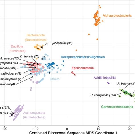 A Multiple Dimensional Scaling Mds Plot For Combined Phylogenetic Download Scientific Diagram