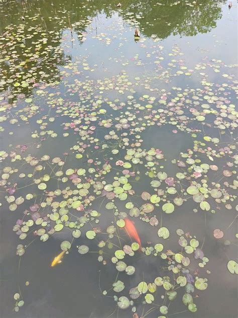 先有番禺后有广州，滴水岩森林公园，番禺沙湾古镇，体验广州慢生活（上篇） 广州旅游攻略 游记 去哪儿攻略