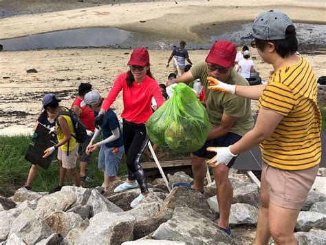 9 Beach Cleanup Groups In Singapore To Join To Help Keep Our Seas Clean