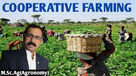 Cooperative Farming Youtube