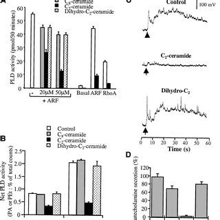 Effects Of Ceramides On Pld Activation And Catecholamine Secretion From