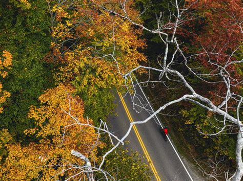 Fall Colors in Burlington VT | Fall Foliage, Maps, Routes, Vermont