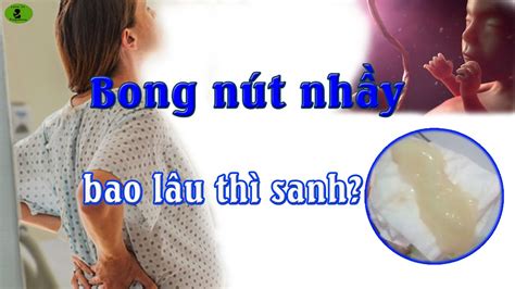 Bong Nút Nhầy Là Gì Có Nguy Hiểm Cho Thai Nhi Không Lynn Vo