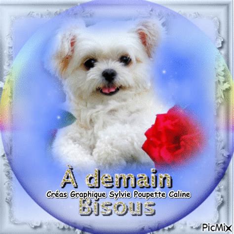 Bisous A Demain Anim Stickers Teddy Bear Free Animated Gifs