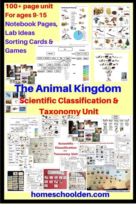 Scientific Classification Unit Artofit