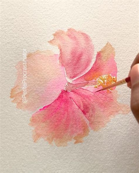 Kanchan Kaul Watercolor Art On Instagram Quick Loose Hibiscus