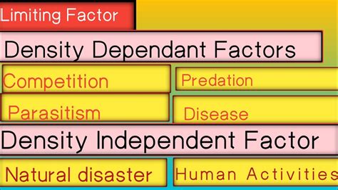 Density Dependant And Independent Factors Plant Ecology Bs Botany Youtube