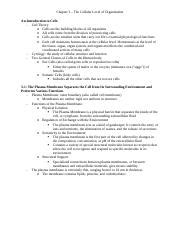 Chapter The Cellular Level Of Organization Docx Chapter The