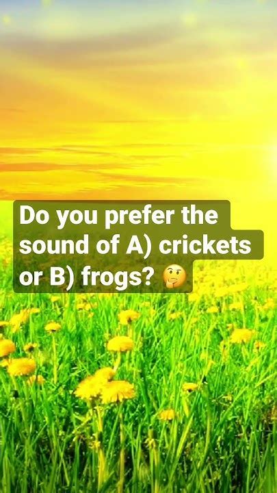 Soothing Relaxing Cricket Sounds A Field Of Crickets Complete Relaxation Peaceful Nature Asmr