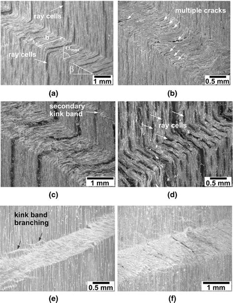 Post Test Observation With Microscopy Of Kink Bands In LT Plane A