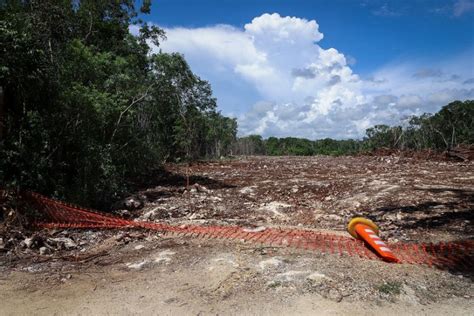 La Jornada Maya Nacional La Jornada Scjn Requiere Acuerdo De