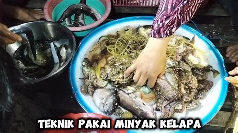 Hasil Berburu Ikan Dimalam Hari Skill Para Bocil YouTube