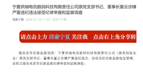 宁夏供销电讯数码科技有限责任公司原党支部书记、董事长董云接受审查调查 极目新闻