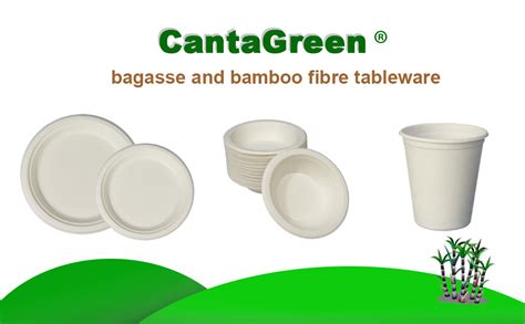 Cantagreen Inch Small Compostable Dessert Plates Count Heavyduty