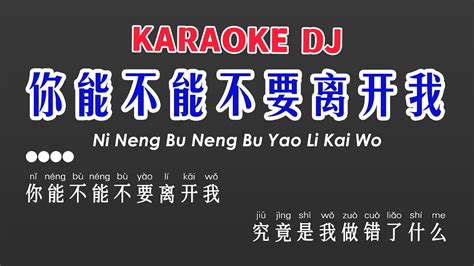 Ni Neng Bu Neng Bu Yao Li Kai Wo Karaoke Dj 莫叫姐姐 你能不能不要离开我 卡拉ok