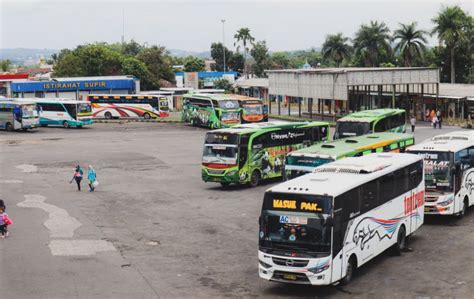 Po Minto Bus Legendaris Asli Banyuwangi Penakluk Pantura Situbondo