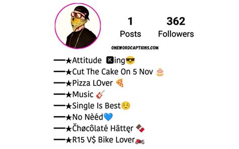 200+ Best Instagram Bio For Boys For Instagram - One Word Captions