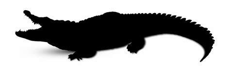 Alligator Silhouette SVG