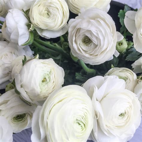 The barnum funeral home has an unexpected historic vault