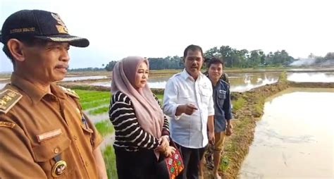 Kementan Ajak Petani Pandeglang Percepat Tanam