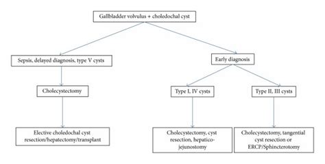 Algorithm For Treatment Of Gallbladder Volvulus In Patients With Download Scientific Diagram