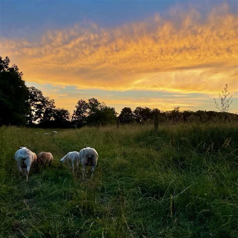 pennsylvania farms embrace sustainable agriculture livabilitycom