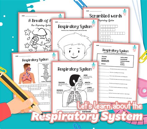 Respiratory System Printable Set