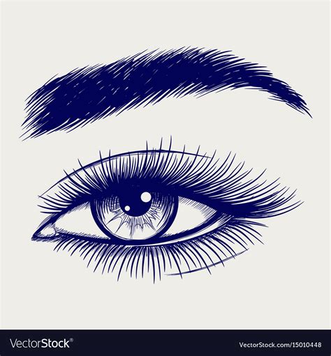 Pen Sketch Of Beautiful Female Eye Royalty Free Vector Image