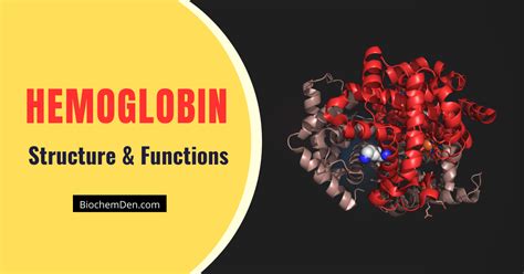 Hemoglobin: Structure, Function and its Properties