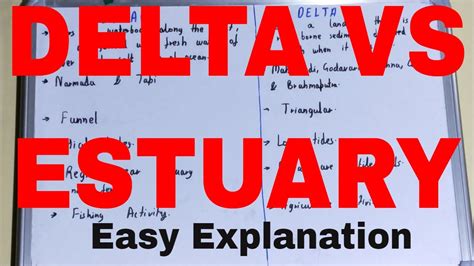 Estuary Vs Delta Difference Between Estuary And Delta Estuary And Delta