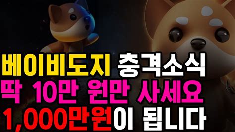 베이비 도지 역대급 파장 100배 상승합니다 왜 모르면 손해 큽니다 리플코인 도지코인 비트코인 이더리움