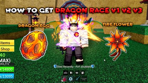 How To Get Draco Dragon Race V1 V2 V3 In Blox Fruits Dragon Update