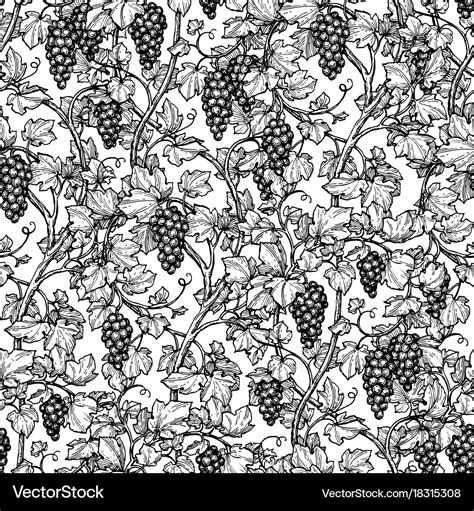 Seamless Pattern With Grape Vine Royalty Free Vector Image