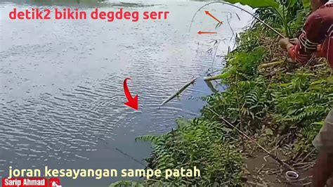 Tehnik Mancing Tawes Joran Sampai Patah Angkat Babon Mancing