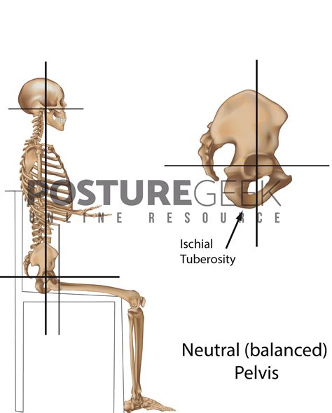 correct sitting posture strategies  assist  posture geek