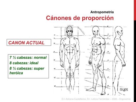 Antropometria Y Ergonom A Ppt