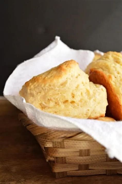 delectably creamy greek yogurt recipes  gourmet delight cook