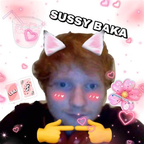 Ed Sheeran Uwu Funny Memes Anime Funny Funny Pictures